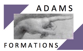 Adams conseil